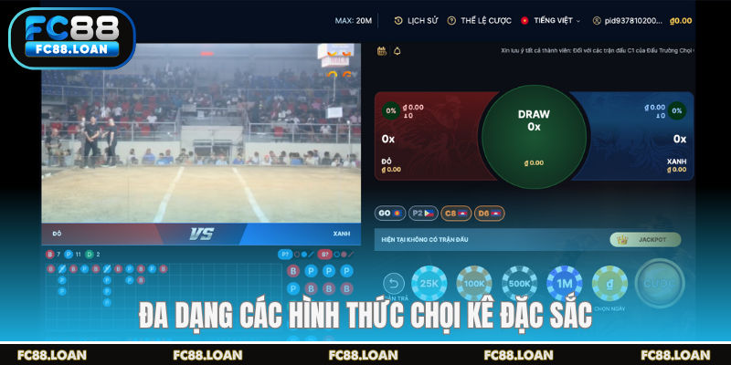 Đa dạng các hình thức chọi kê đặc sắc