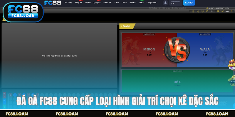 Đá gà FC88 cung cấp loại hình giải trí chọi kê đặc sắc