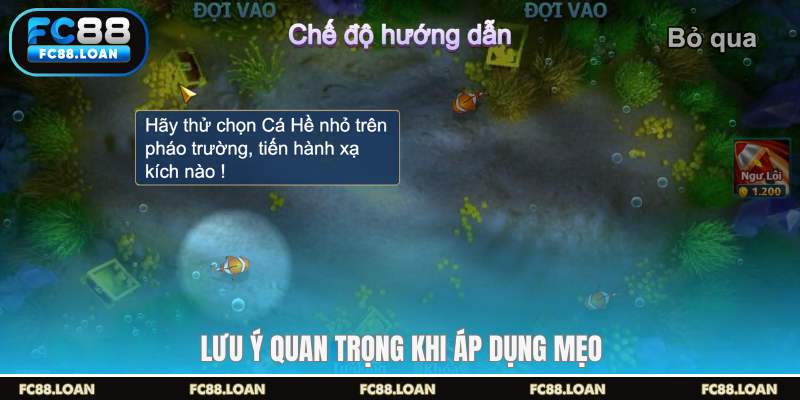 Lưu ý quan trọng khi áp dụng mẹo