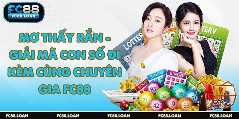 Mơ thấy rắn là điềm gì