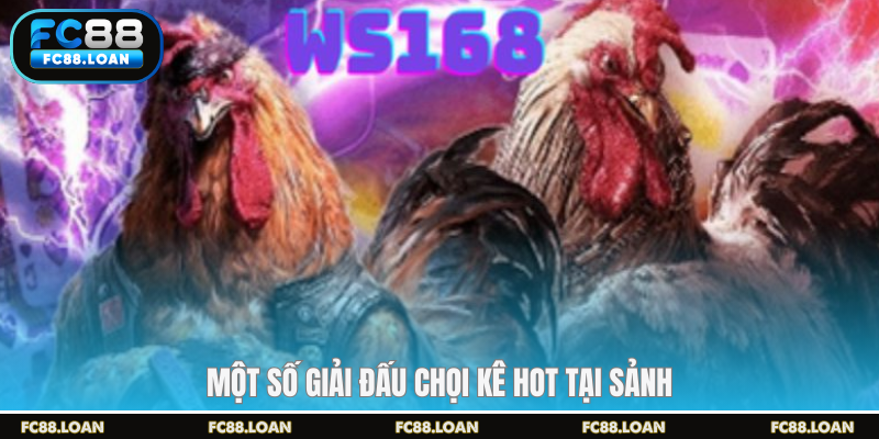 Một số giải đấu chọi kê hot tại sảnh cược fc88