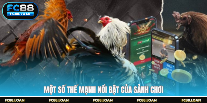 Một số thế mạnh nổi bật của sảnh chơi