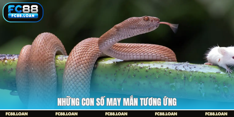 Những con số may mắn tương ứng