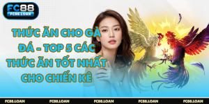 lưu ý lựa chọn thức ăn cho gà đá