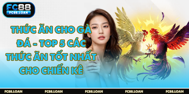 lưu ý lựa chọn thức ăn cho gà đá